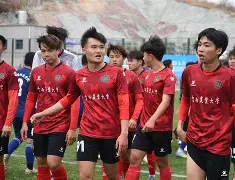 关于匈牙利足球超级联赛胜负交接生死相搏的信息 关于匈牙利足球超级联赛胜负交接生死相搏的信息