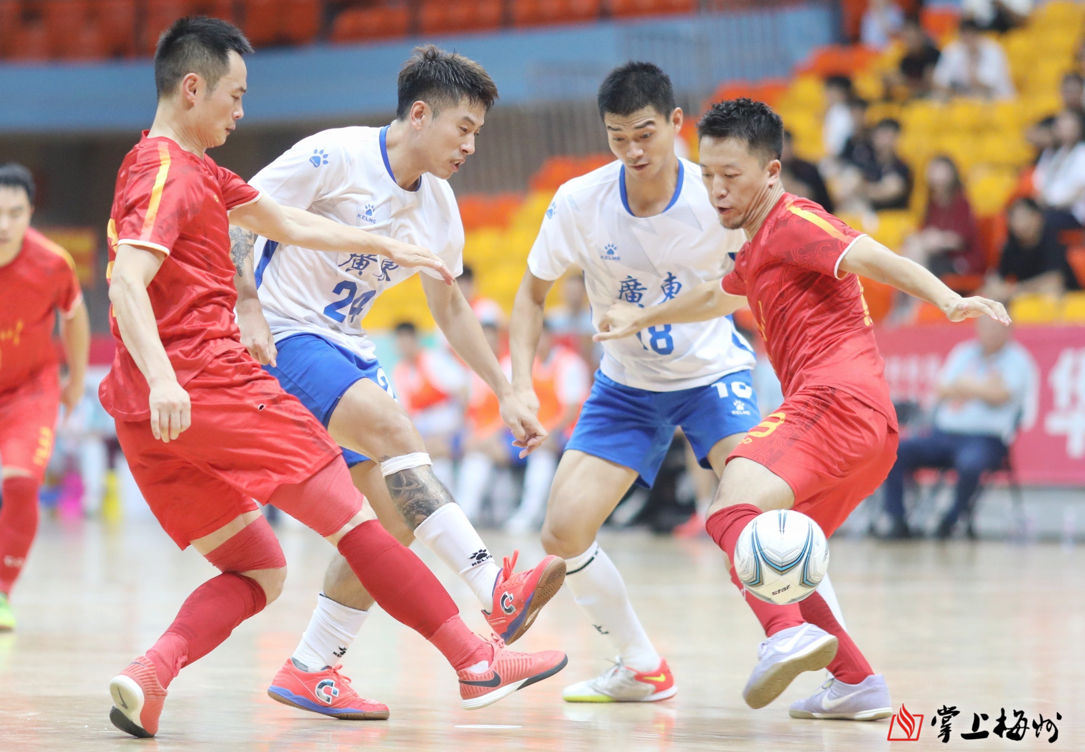 广东队赢了 广东队赢了